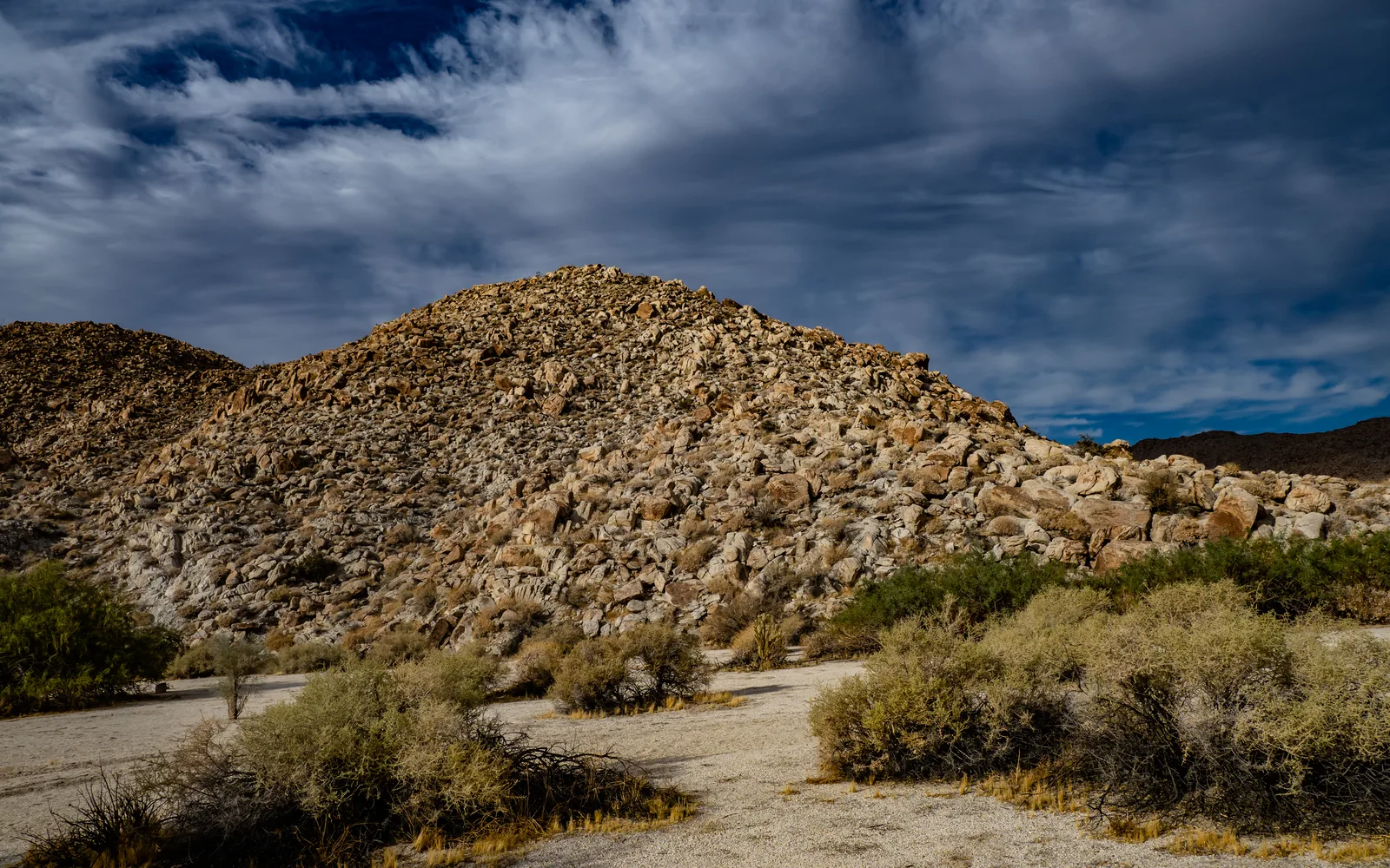 Desert landscape with rocks and brush vegetation in Anza-Borrego Desert State Park, California